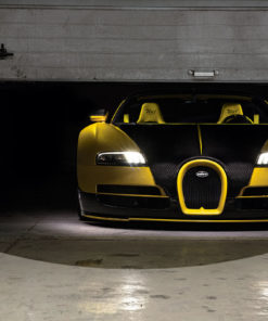 Veyron Oakley Design (face)