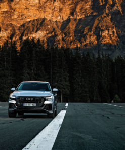 Audi Q8 (01)