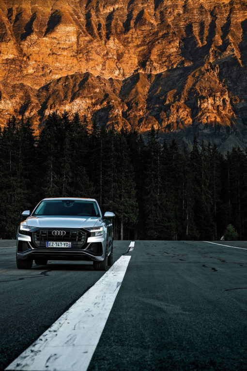 Audi Q8 (01)