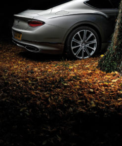 Bentley Continental GT (2)