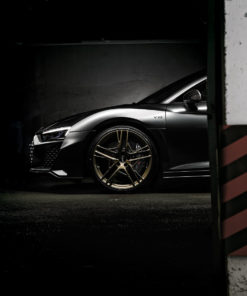 Audi R8 Decennium (3)