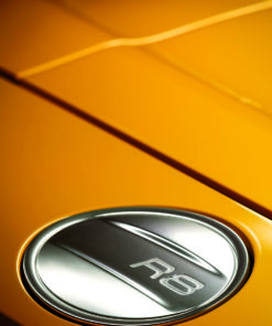 Audi R8 Spyder V10 Perf.