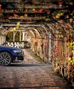 Audi S8 TFSI (2)