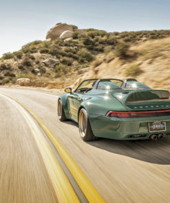 Gunther Werks Speedster