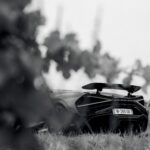 Bugatti Mistral vue arrière entre les arbres